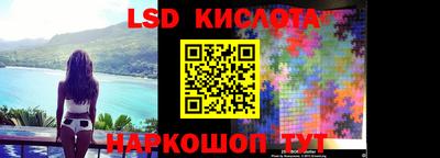 jwh Бийск