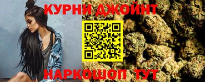гидра Камень-на-Оби