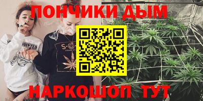 jwh Бийск