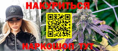 jwh Бийск