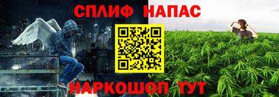 jwh Бийск