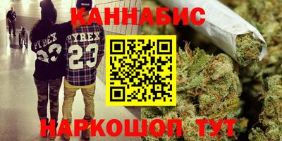 jwh Бийск