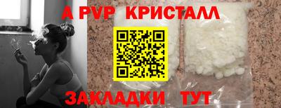 jwh Бийск